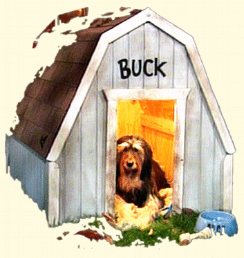 Bild mit Buck in der Hundehtte